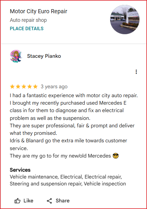 Review of Motor City Euro Repair By Stacey Pianko